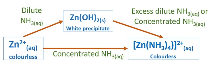 zinc +2 ion and ammonia reaction | Zn2+ and NH3